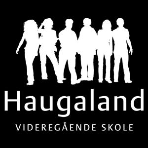 Haugaland VGS Toppidrett